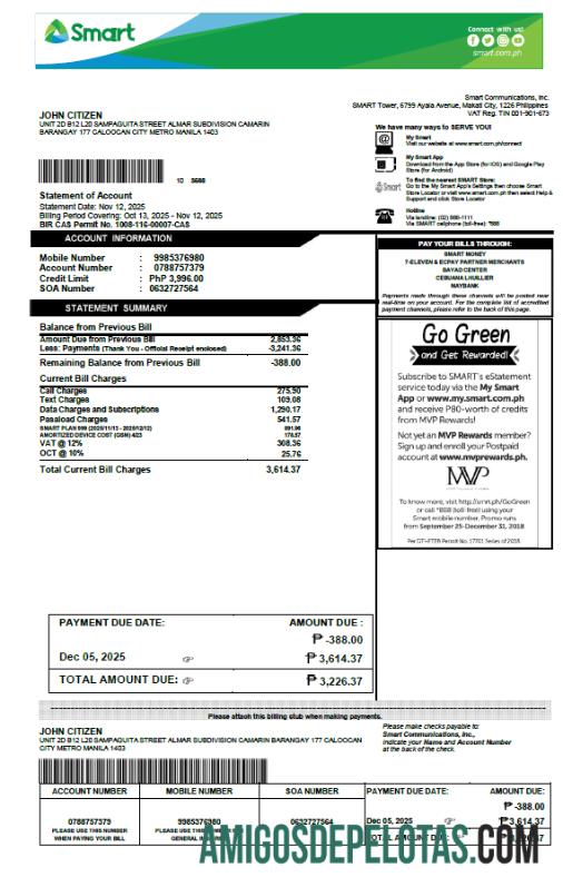 em branco Modelo de conta de serviços públicos inteligente das Filipinas em formatos Word e PDF, versão 2